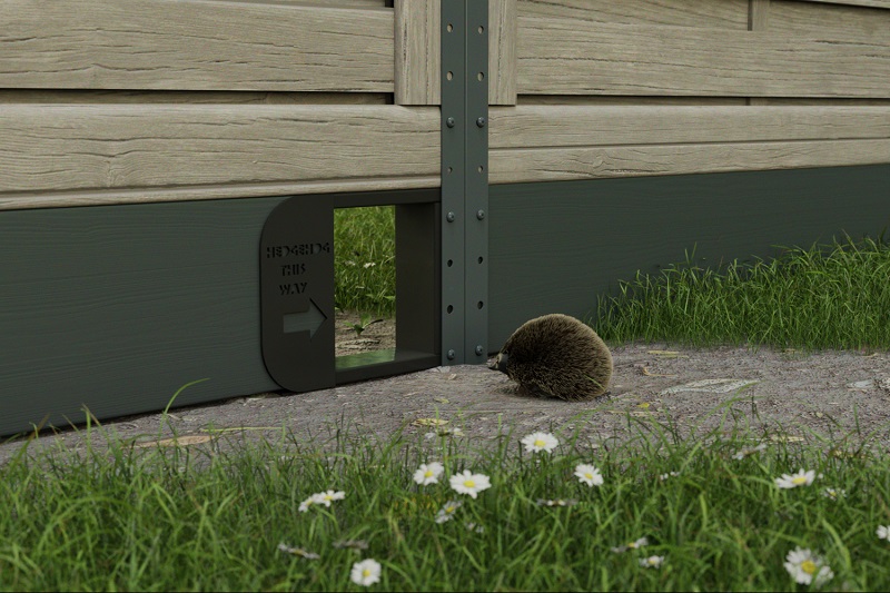 How Big Should A Hedgehog Hole Be